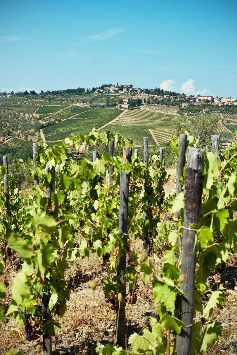 Viñedos de Chianti con un pueblo en la colina